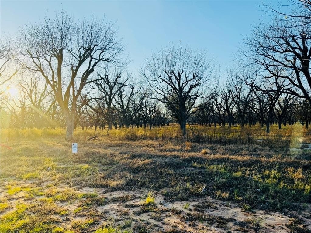 1.54 acres in Hood County - photo 4