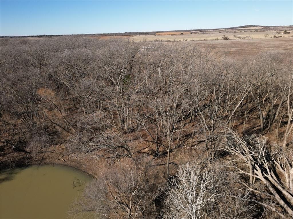 8.35 acres in Eastland County - photo 5