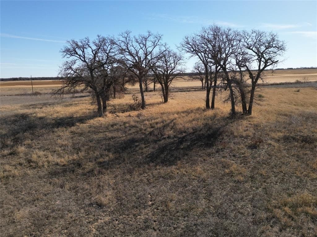 1235 County Road 226