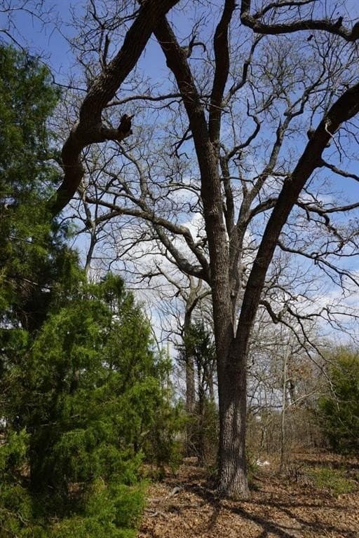 0.3 acres in Henderson County - photo 21