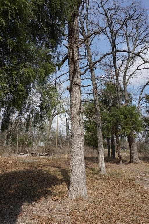 0.3 acres in Henderson County - photo 18