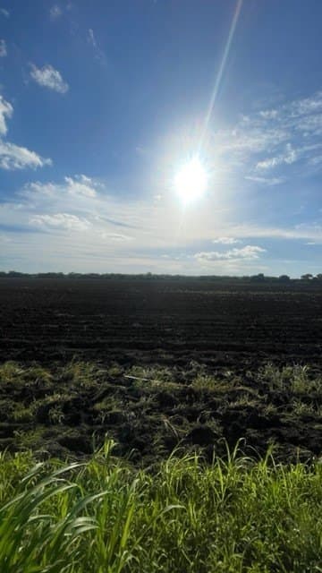11.82 acres in Nueces County - photo 2
