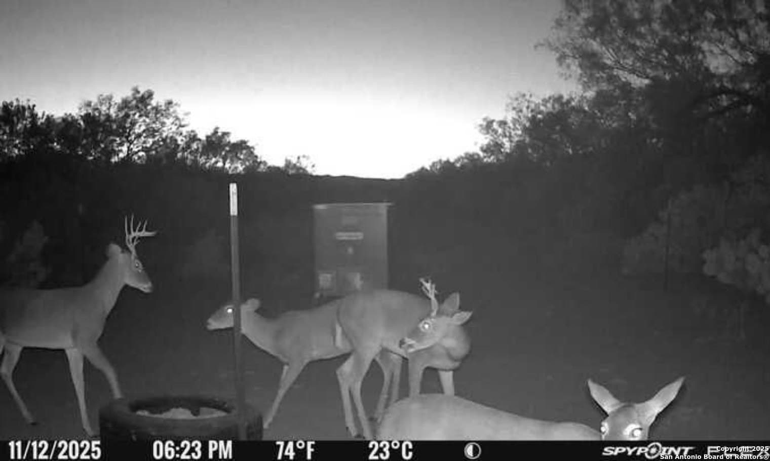 19.71 acres in McMullen County - photo 11