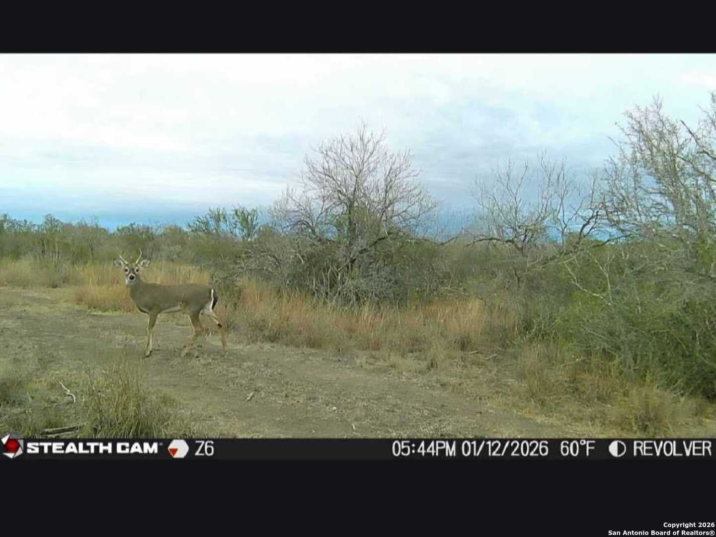 19.71 acres in McMullen County - photo 14