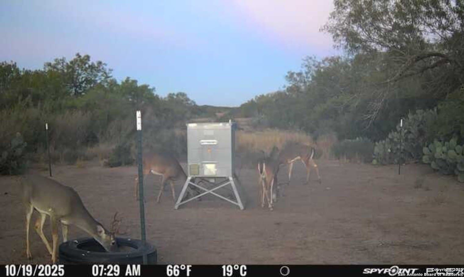 19.71 acres in McMullen County - photo 15
