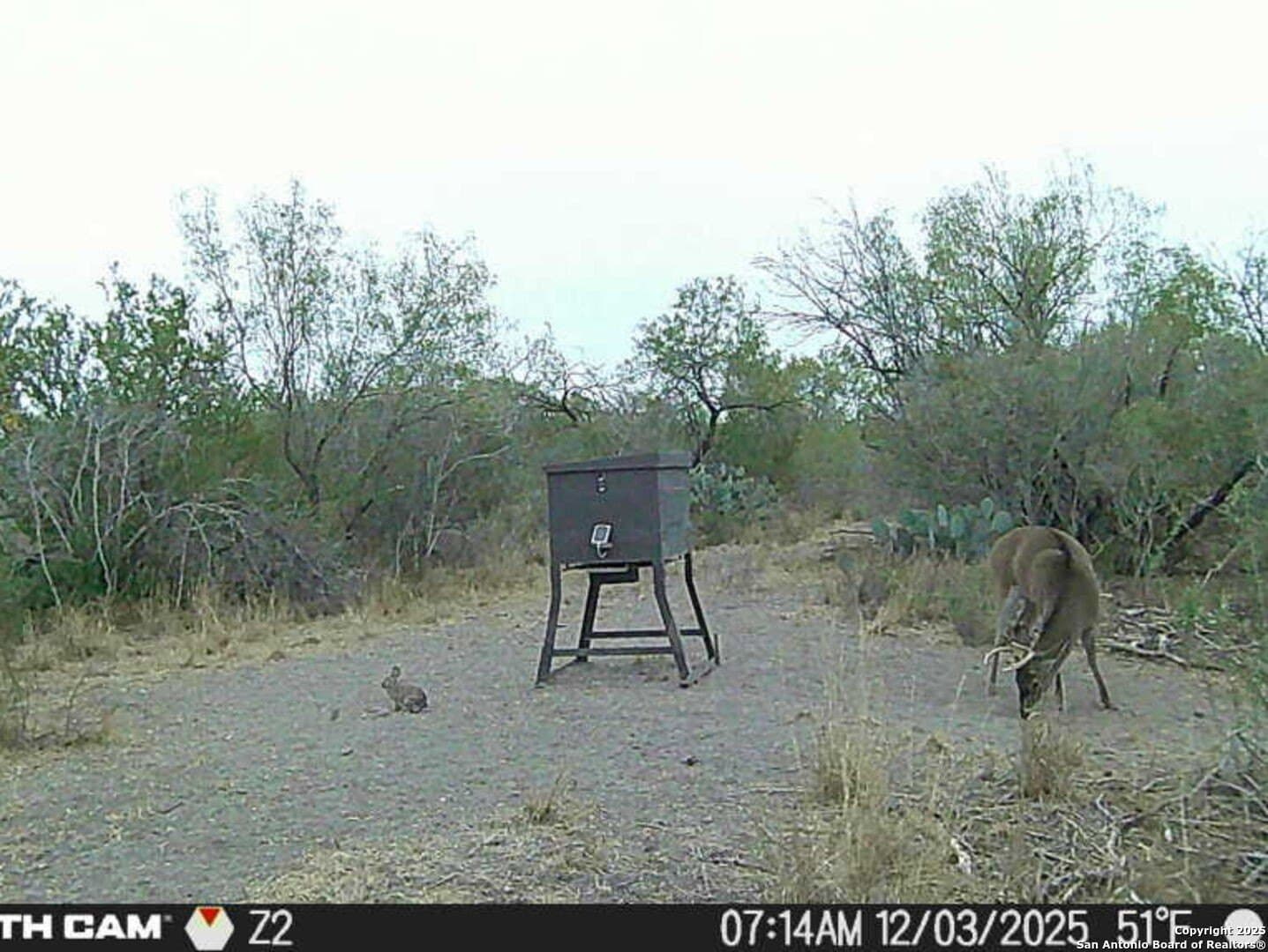 19.71 acres in McMullen County - photo 8