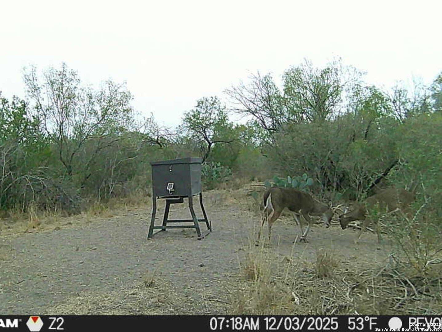 19.71 acres in McMullen County - photo 9