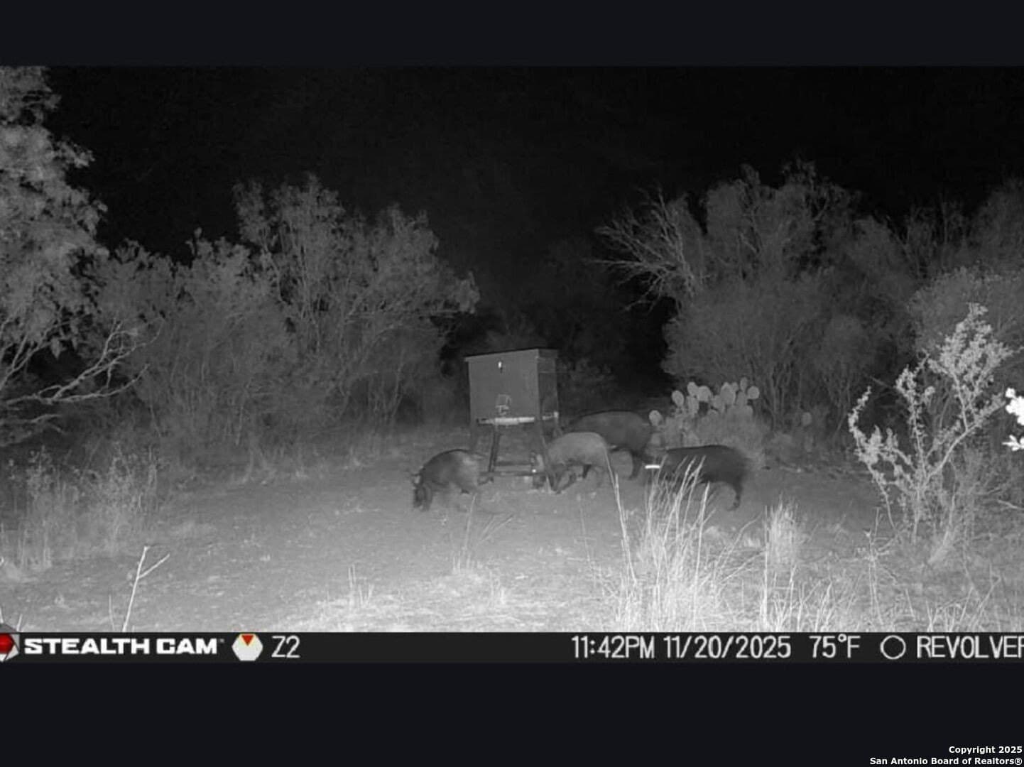 19.71 acres in McMullen County - photo 16