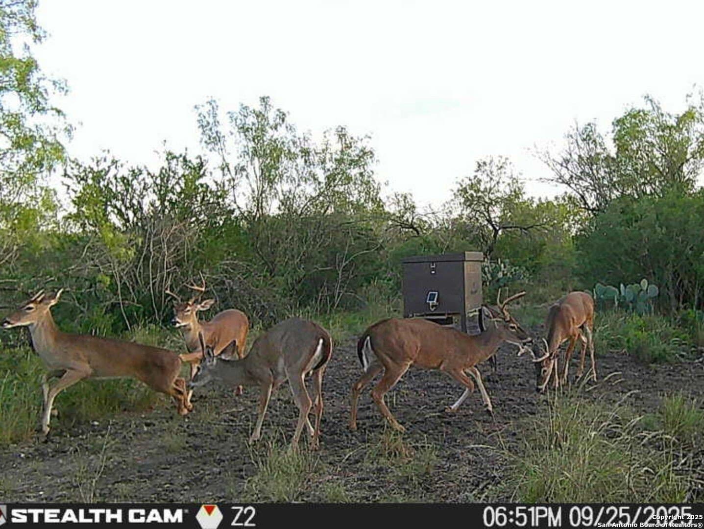 19.71 acres in McMullen County - photo 2