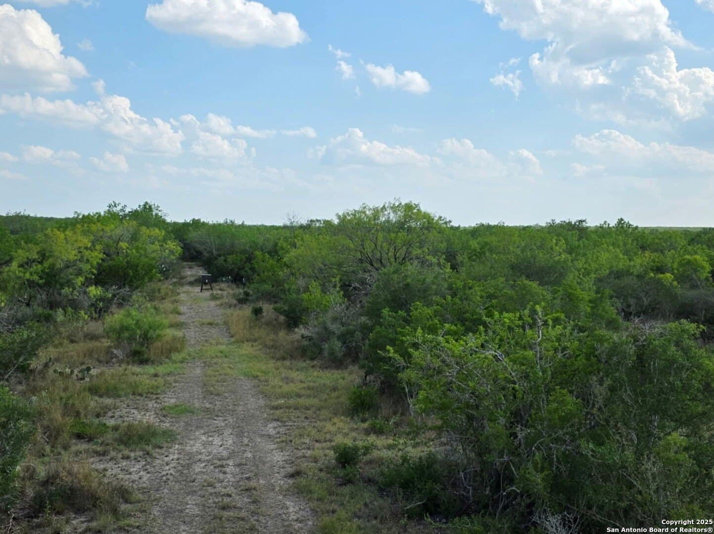 19.71 acres in McMullen County - photo 3