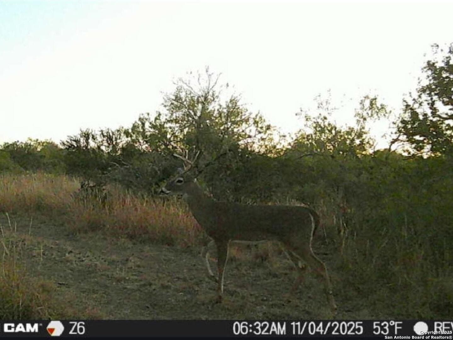 19.71 acres in McMullen County - photo 10