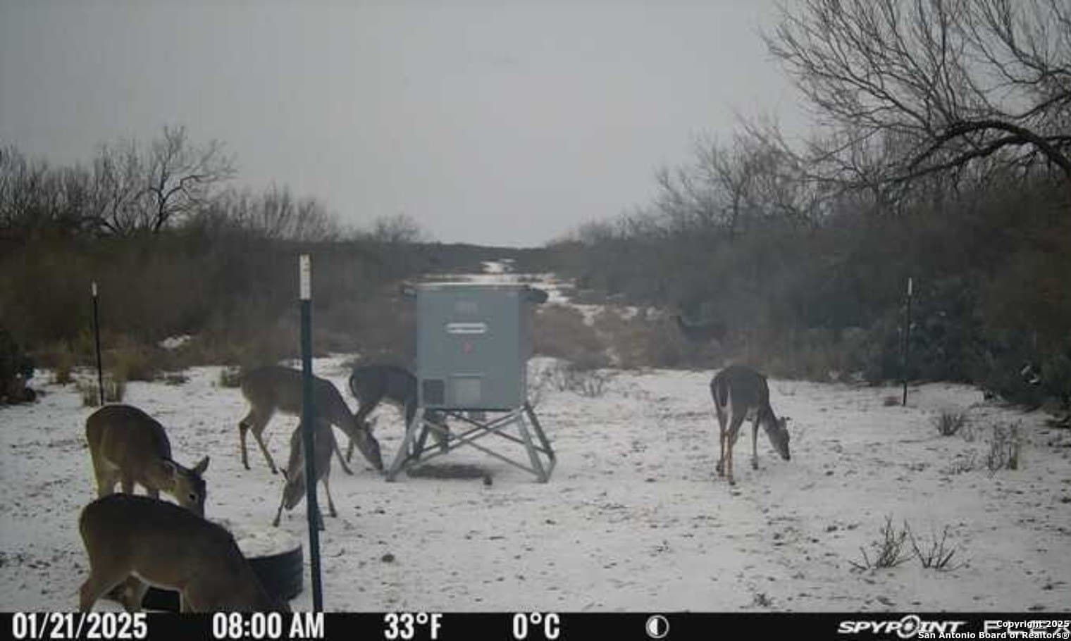 19.71 acres in McMullen County - photo 17
