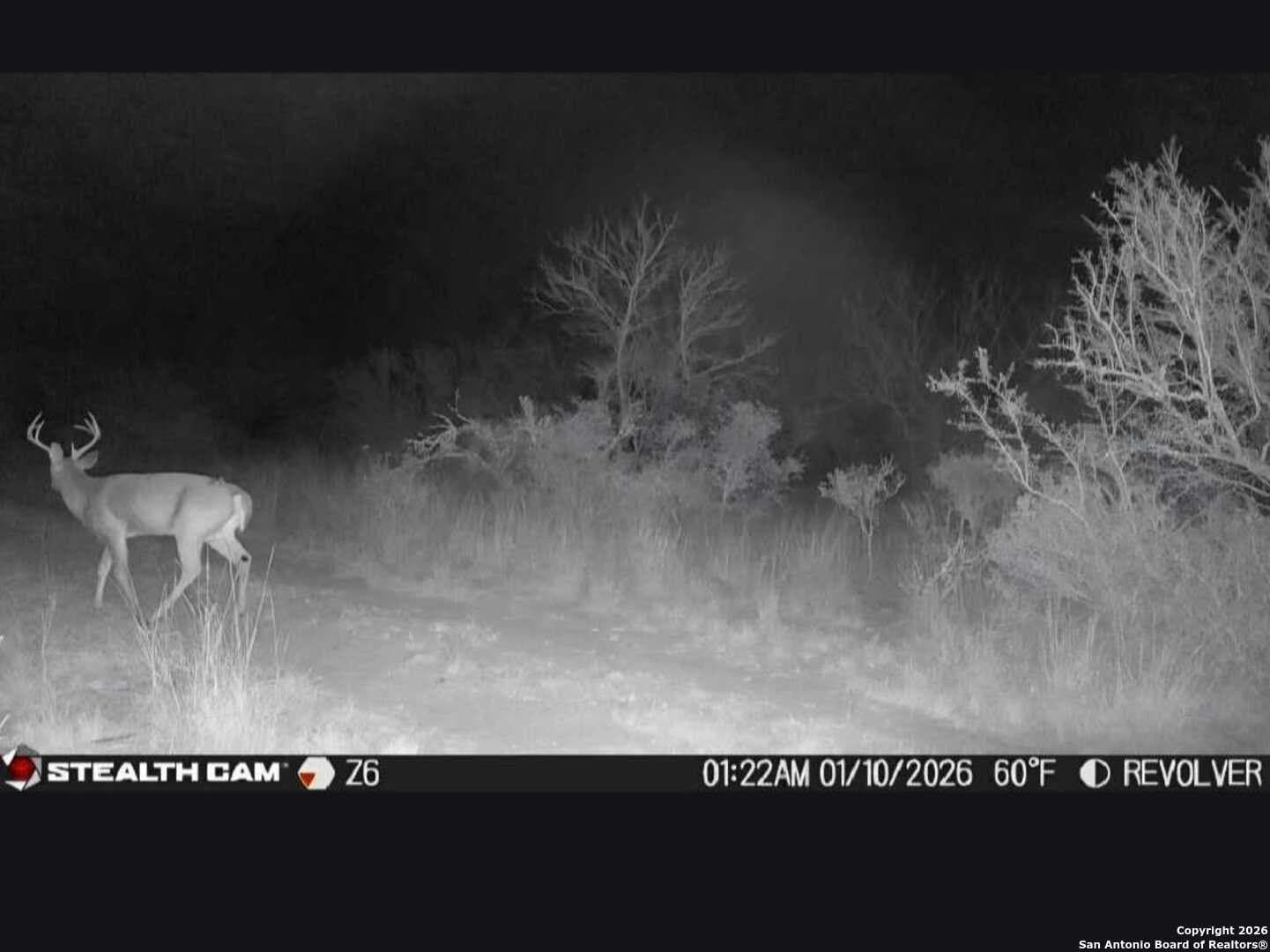 19.71 acres in McMullen County - photo 13