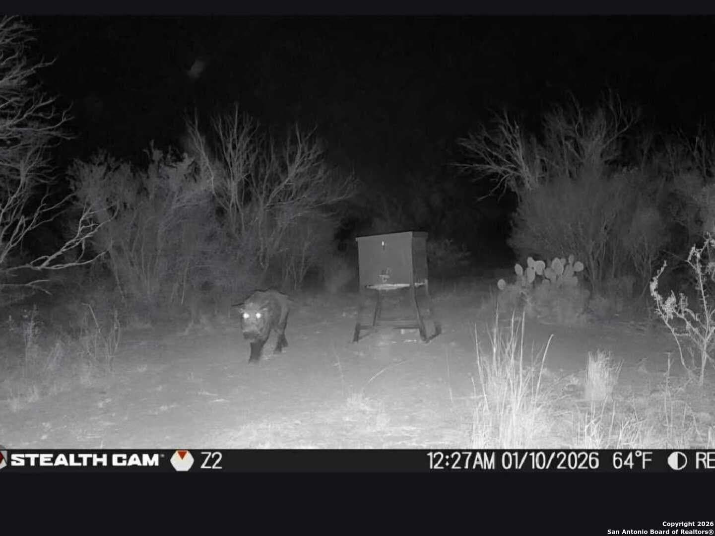 19.71 acres in McMullen County - photo 12