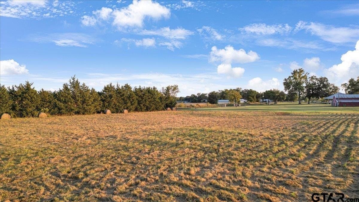 28 acres in Wood County - photo 29