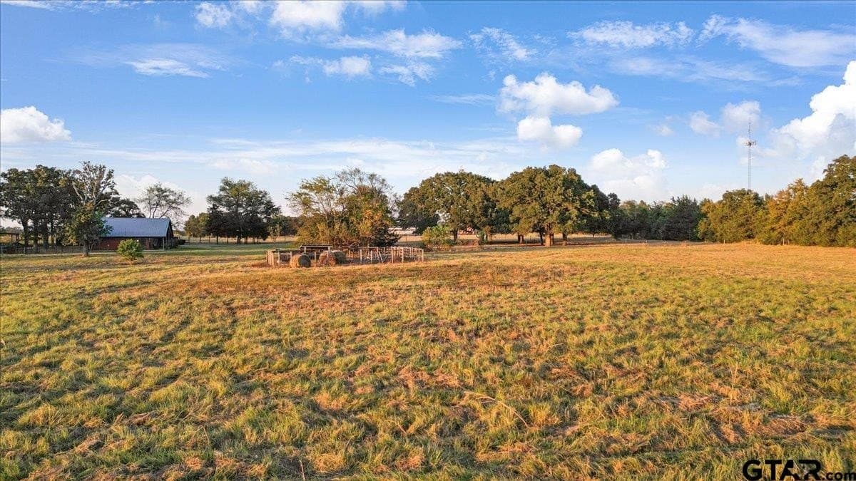 28 acres in Wood County - photo 30