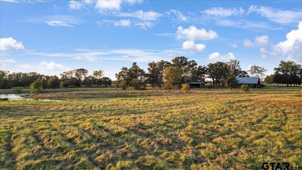 28 acres in Wood County - photo 31