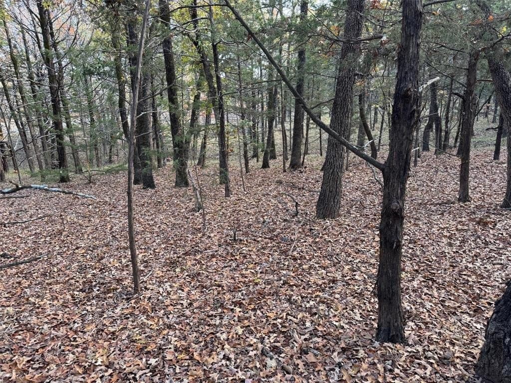 0.23 acres in Grayson County - photo 3