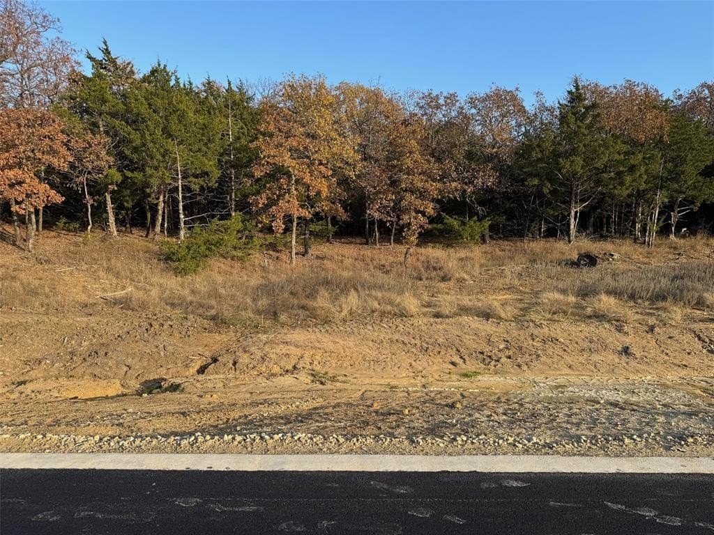 0.23 acres in Grayson County - photo 2
