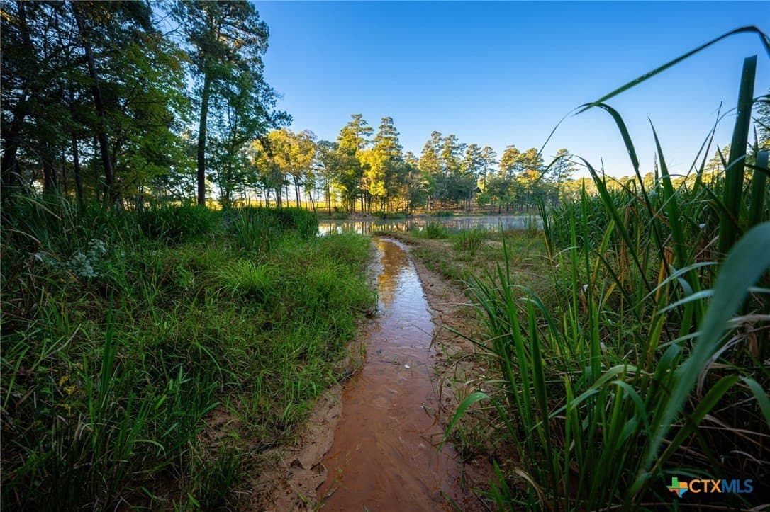495 acres in Smith County - photo 3