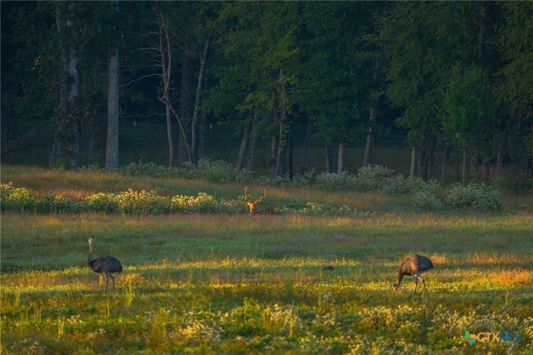 495 acres in Smith County - photo 39
