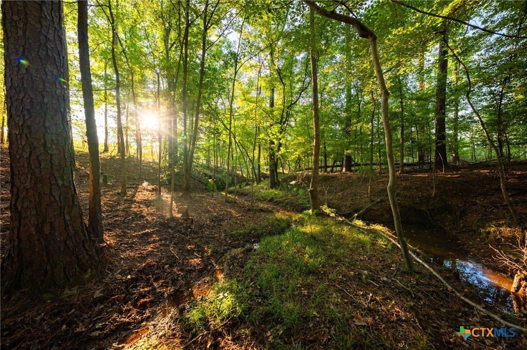 495 acres in Smith County - photo 19