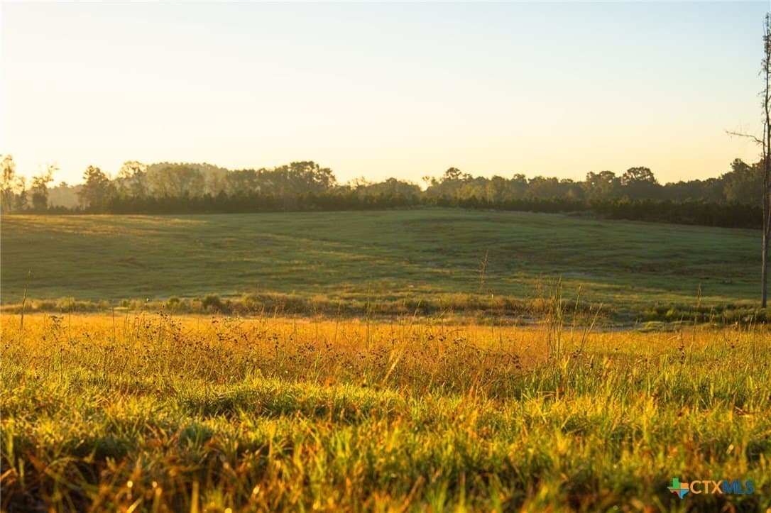 495 acres in Smith County - photo 14