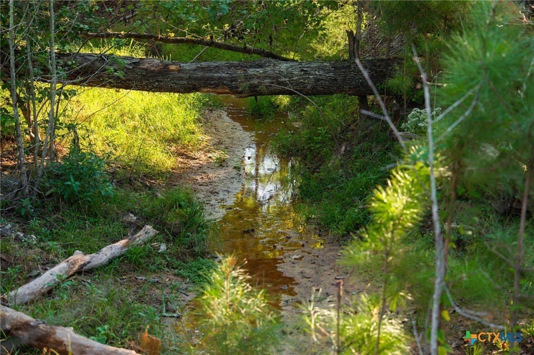 495 acres in Smith County - photo 8