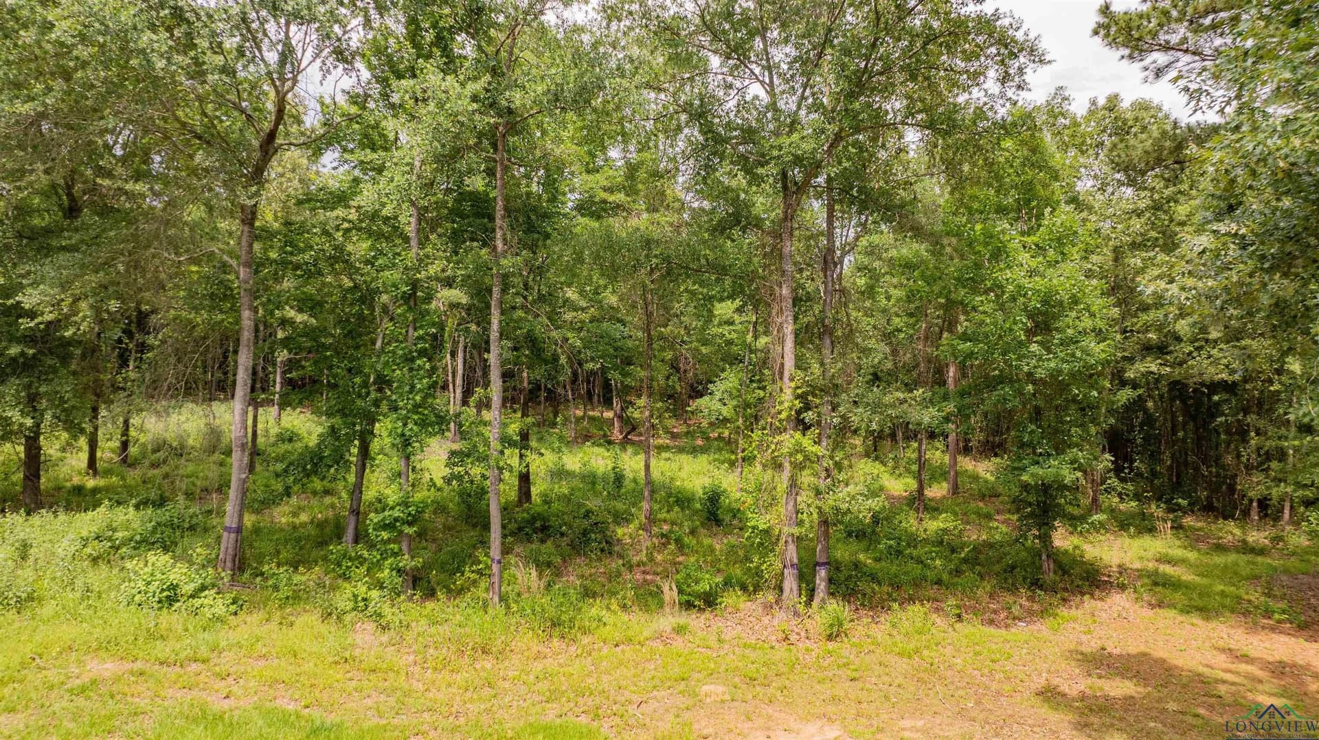 19.42 acres in Texas County - photo 8
