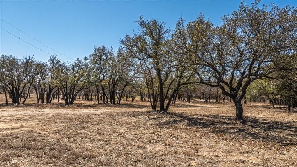 2 acres in Hood County - photo 8
