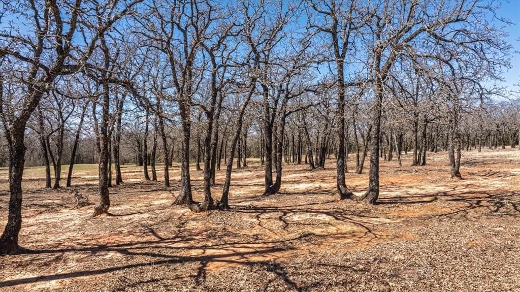 2 acres in Hood County - photo 10
