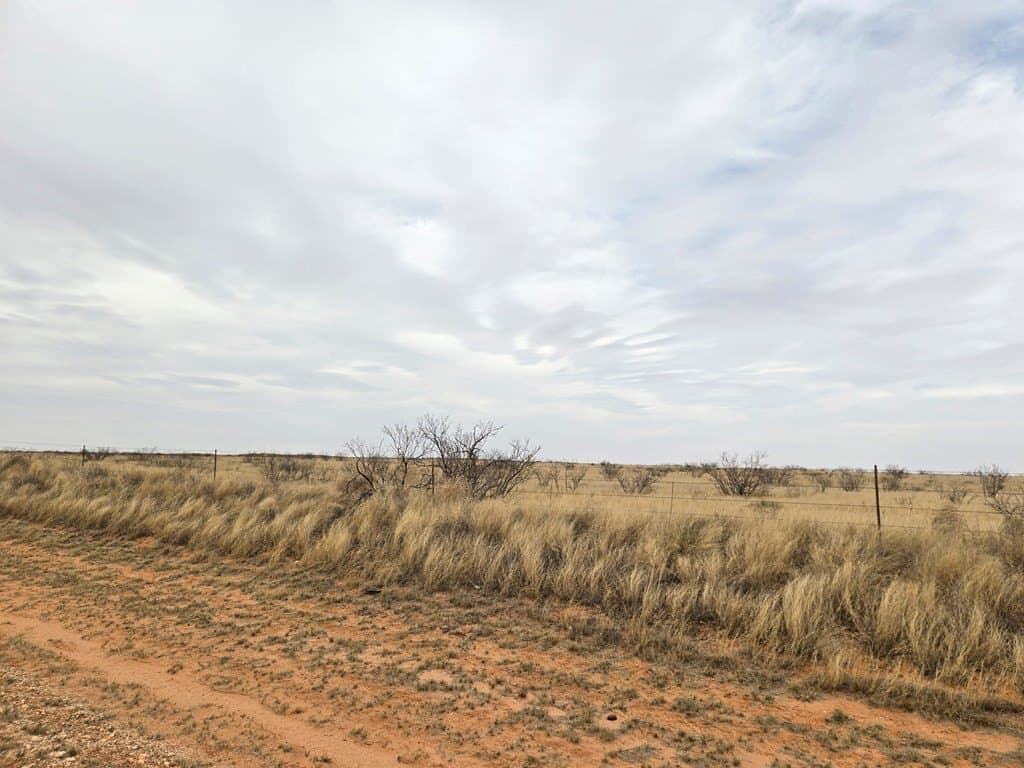 100 acres in Gaines County - photo 5