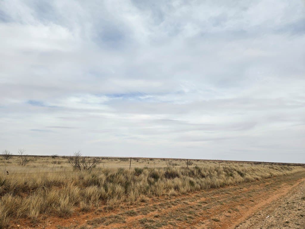 100 acres in Gaines County - photo 6