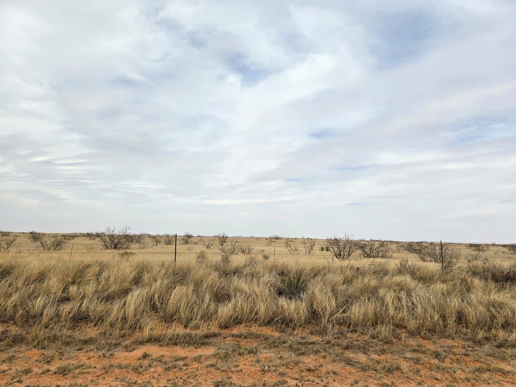 100 acres in Gaines County - photo 4