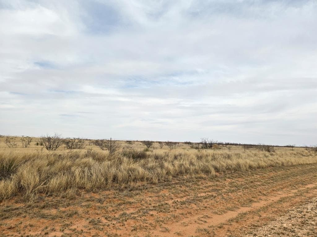 100 acres in Gaines County - photo 2