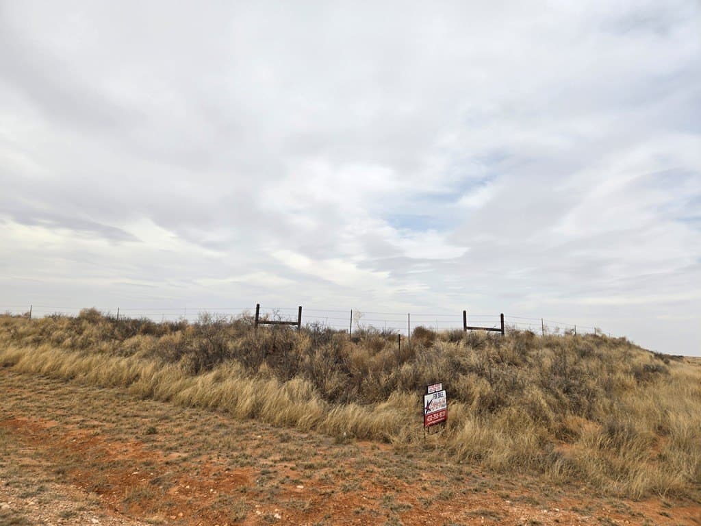 100 acres in Gaines County - photo 3