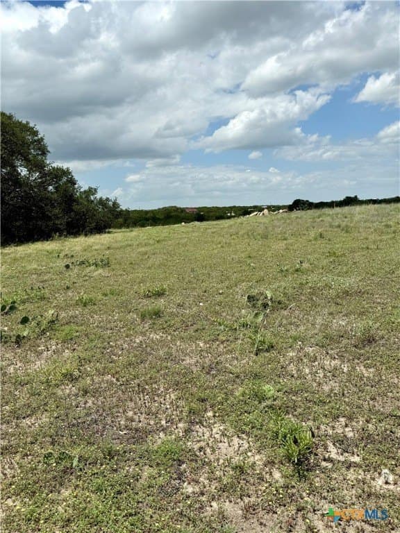 11.02 acres in Coryell County - photo 5