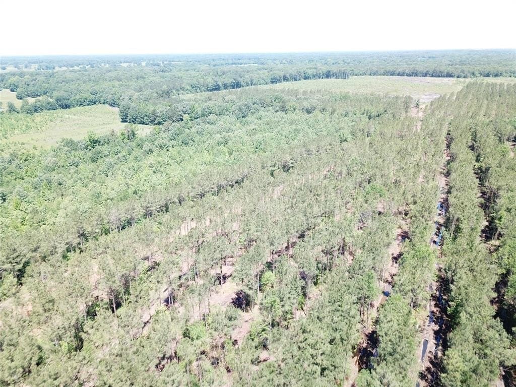 236.44 acres in Bowie County - photo 9