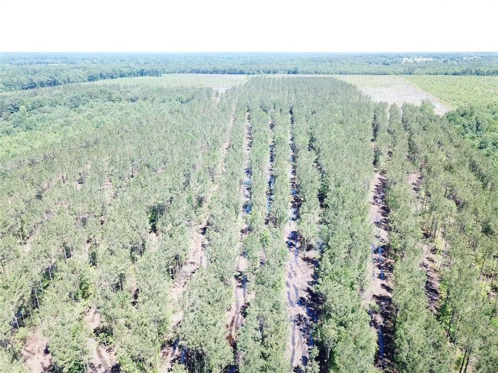 236.44 acres in Bowie County - photo 7