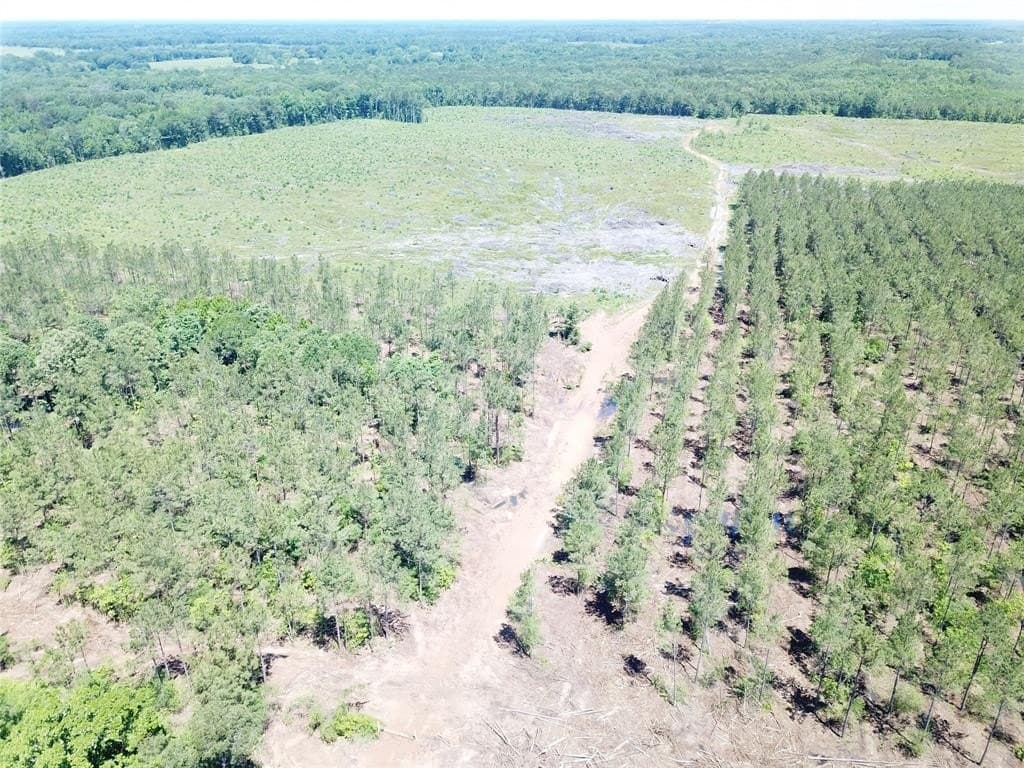 236.44 acres in Bowie County - photo 12