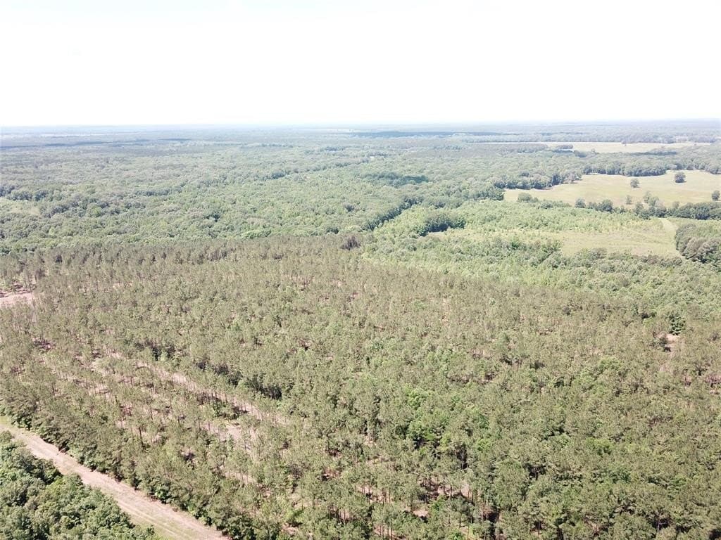 236.44 acres in Bowie County - photo 24