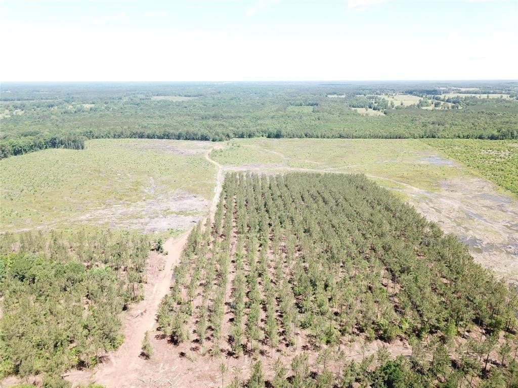236.44 acres in Bowie County - photo 17