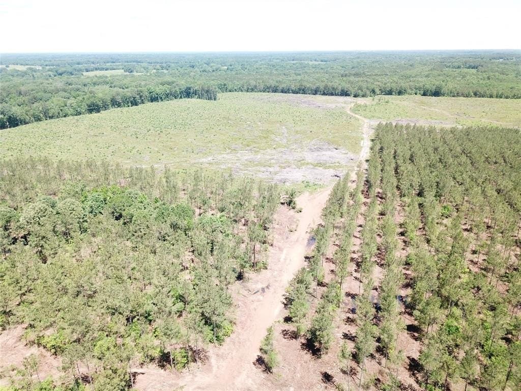236.44 acres in Bowie County - photo 13