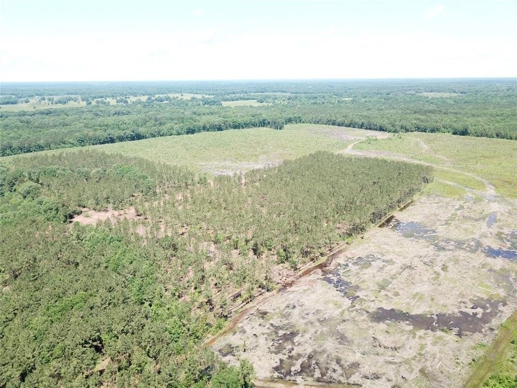 236.44 acres in Bowie County - photo 21