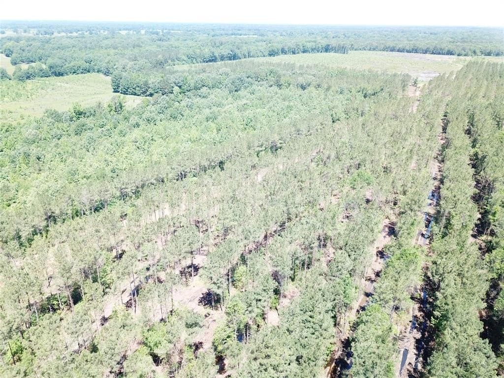 236.44 acres in Bowie County - photo 10