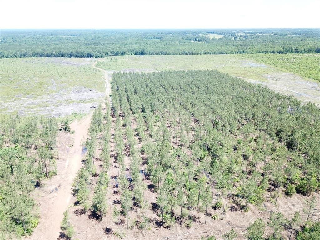 236.44 acres in Bowie County - photo 14