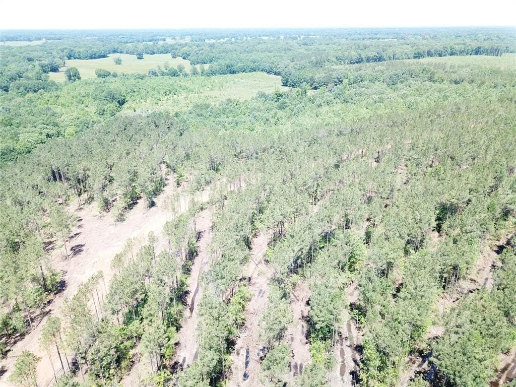 236.44 acres in Bowie County - photo 5