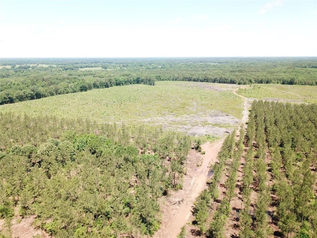 236.44 acres in Bowie County - photo 16
