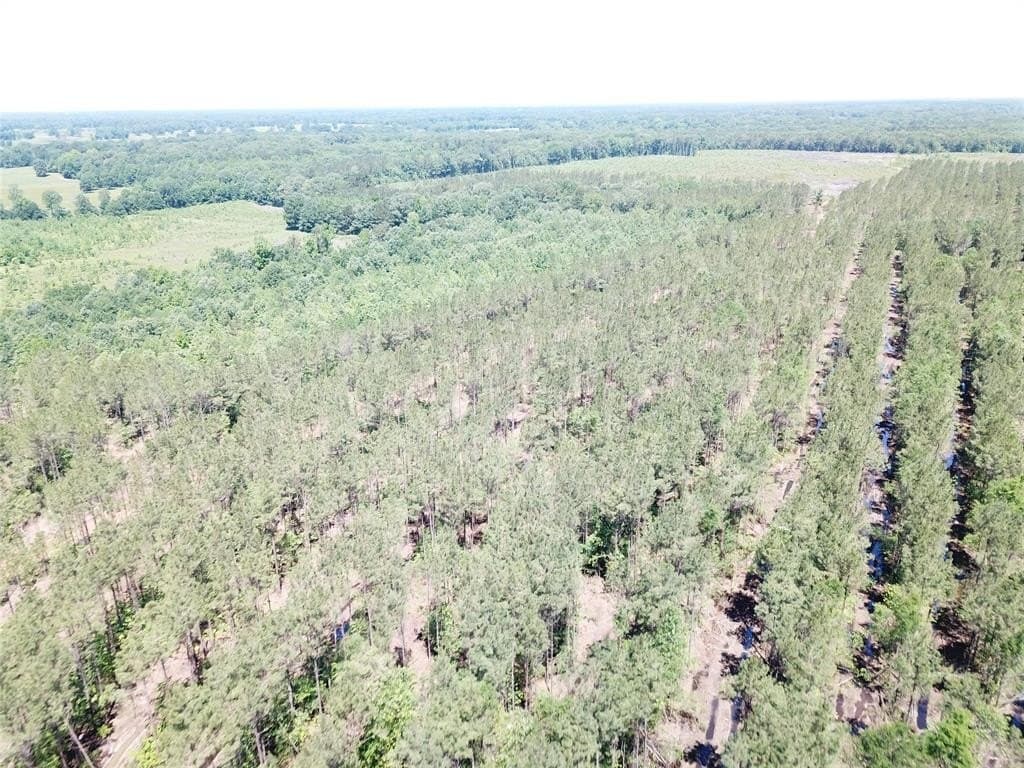 236.44 acres in Bowie County - photo 8