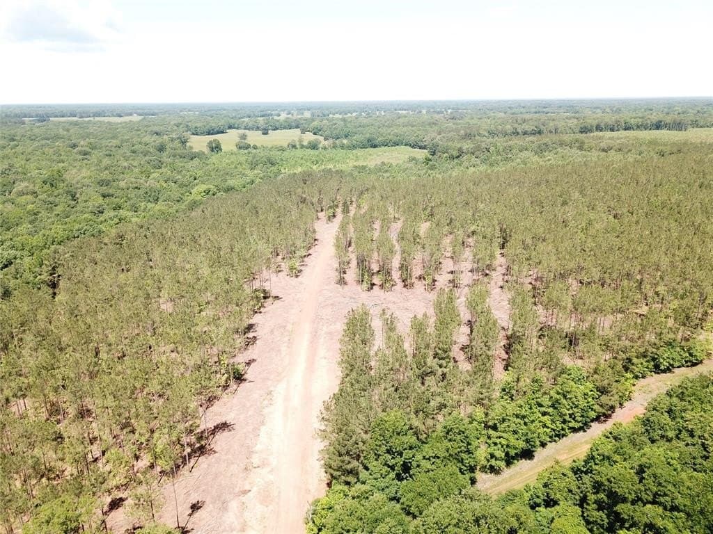236.44 acres in Bowie County - photo 3